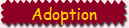 Adoption